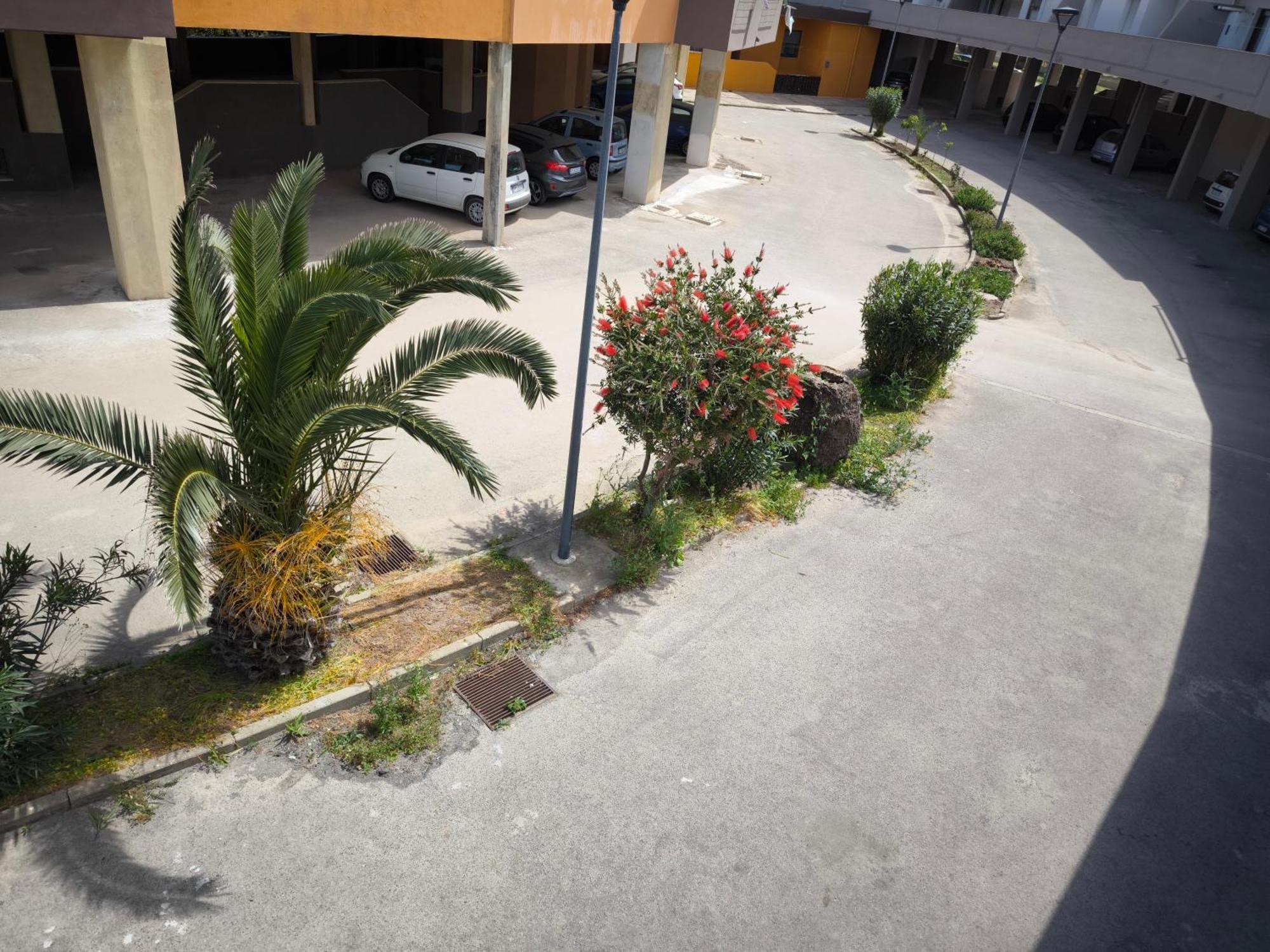 Apartament La Dimora Sul Lido Alghero Zewnętrze zdjęcie